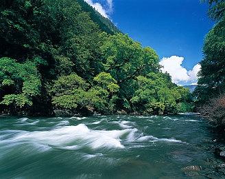 Neil揭示《最后的生还者2》中有一位编剧扮演的角色被砍