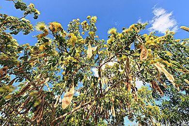 《赛博朋克2077》1.5版50G更新已推出 完整文档说明