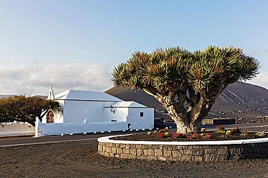 生存策略游戏《Star Trek：Voyager-Across the Unknown》正式公布