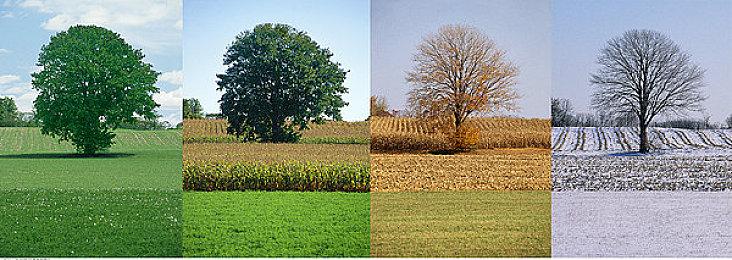 《无限暖暖》手机端首月玩家支出达1600万美元